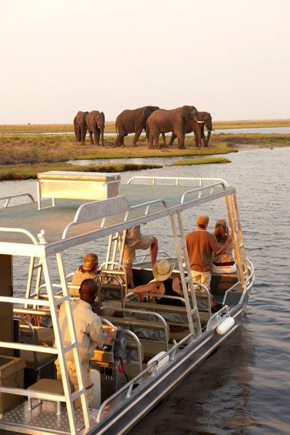 Chobe